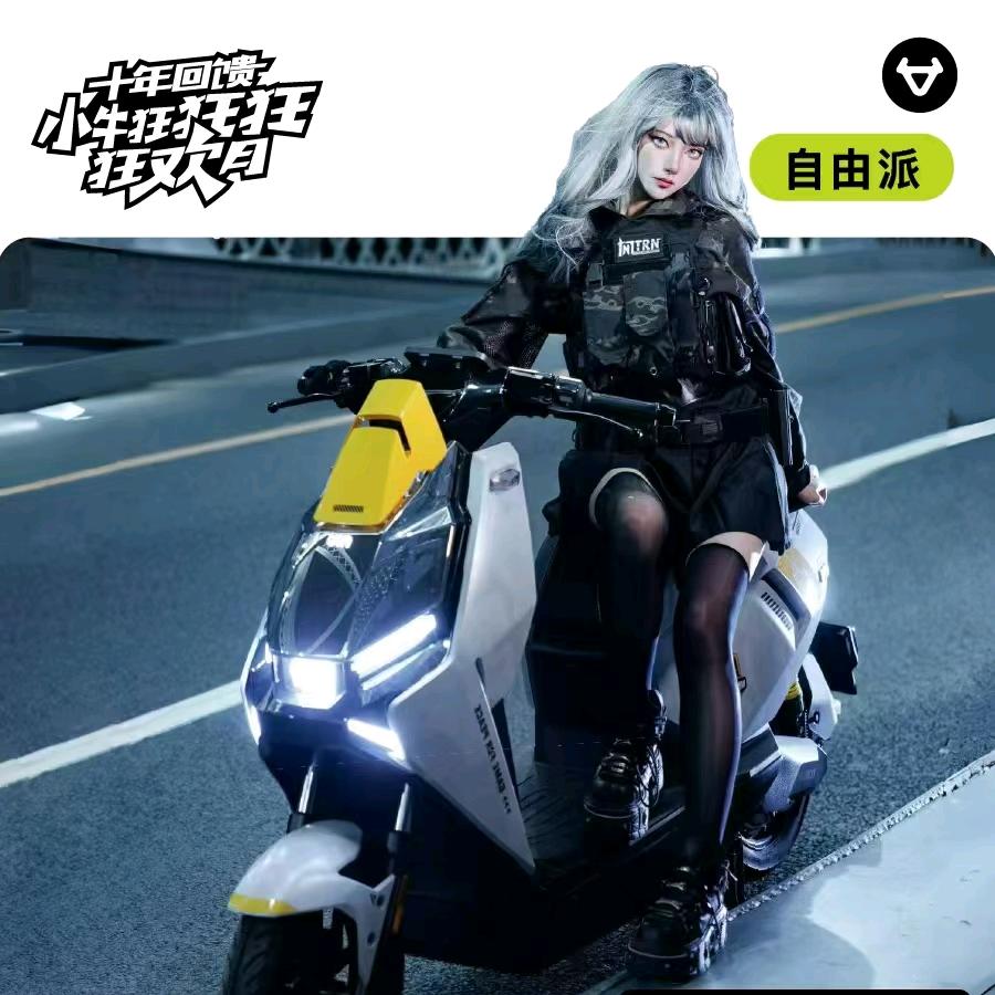 大冯小牛电动车