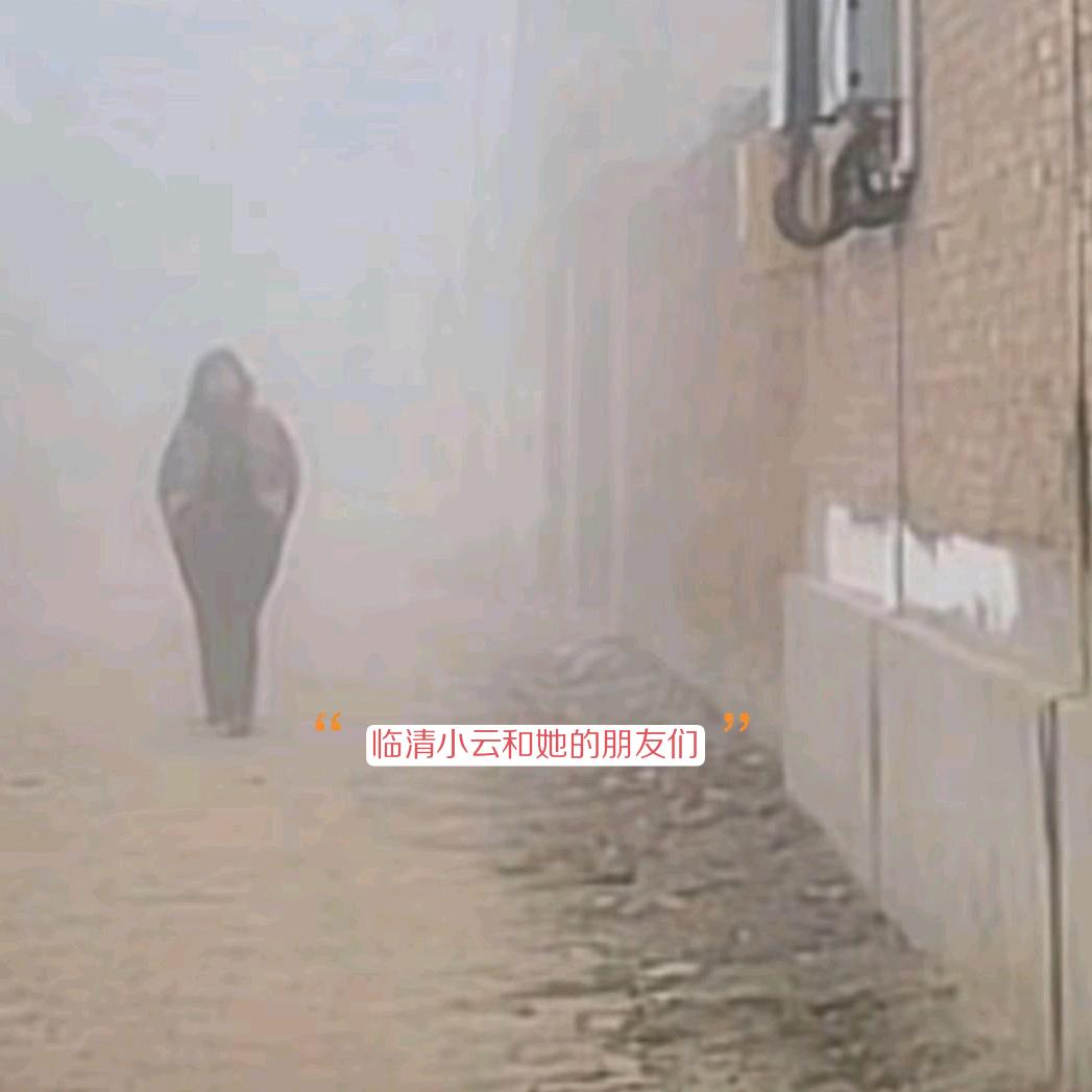 临清小云和她的朋友们