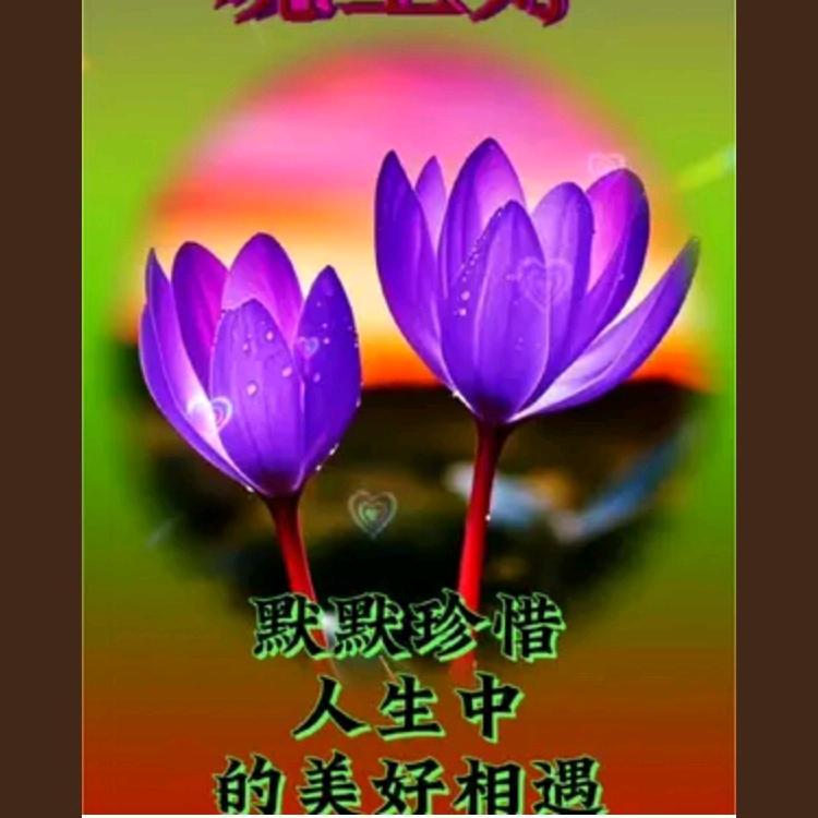无缘同乐