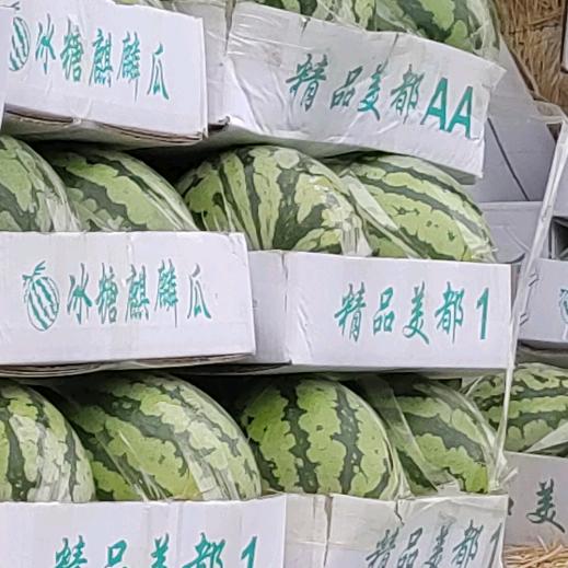 崔