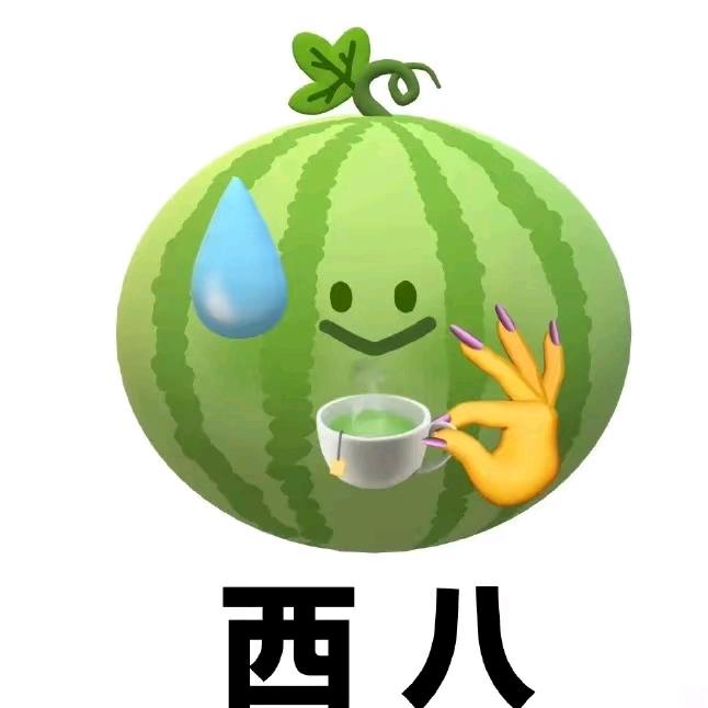 西巴大队