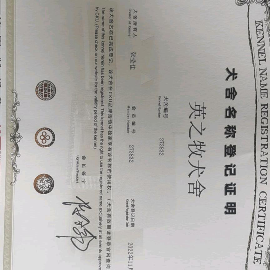 湘 A 英之牧犬舍 3