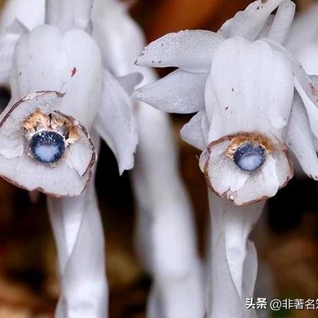 惩罚