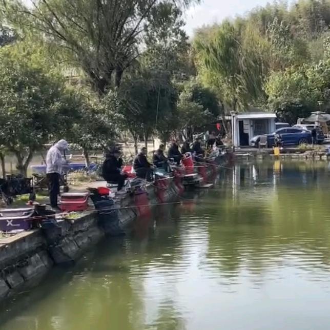 杨梅湾钓场