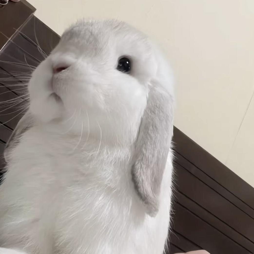 ████████████████████