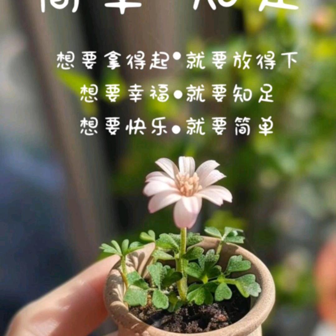 思🌙（拒绝私聊）
