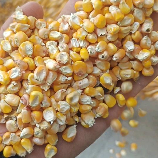 龍顺，粮食购销