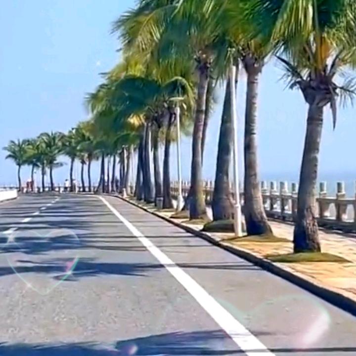 倾城半夏