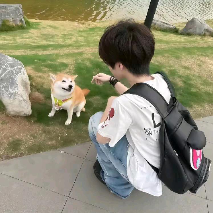 届