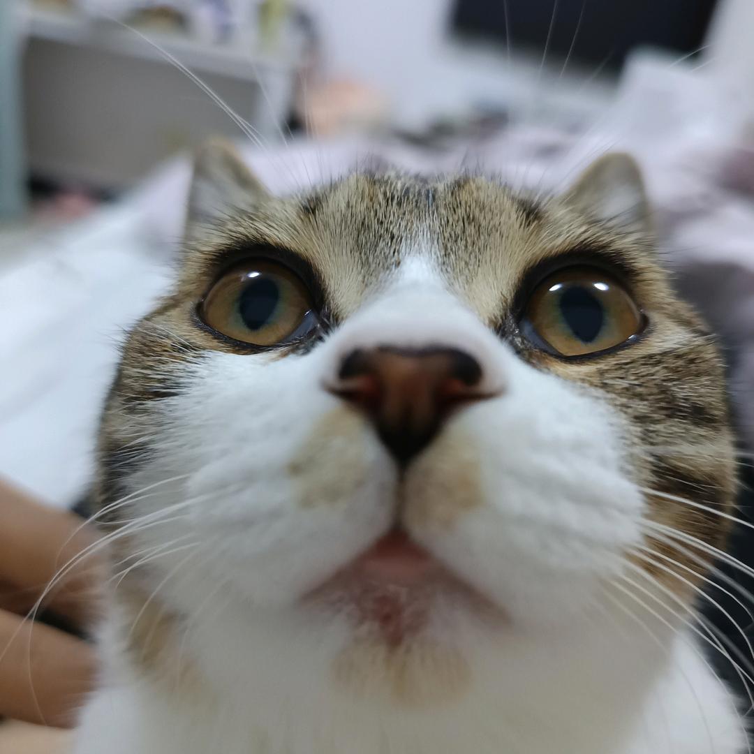 爱咸咸bot