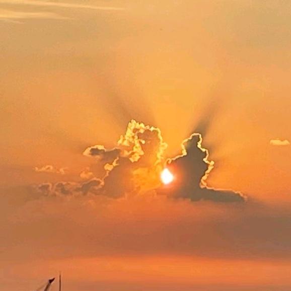 大河向东’