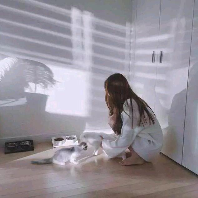 lamb(•̤̀ᵕ•̤́๑)ᵒᵏᵎᵎᵎ