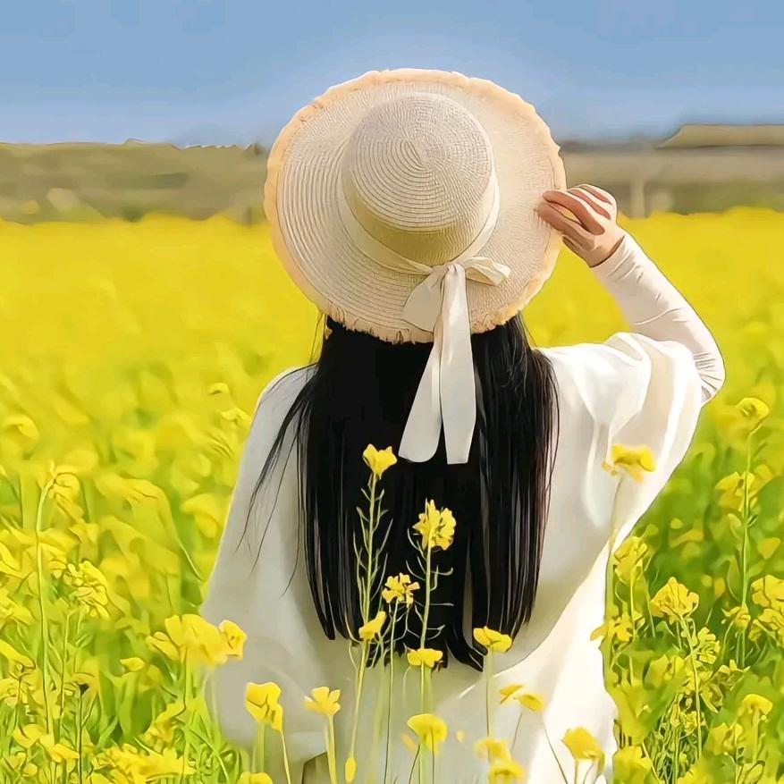 含笑花