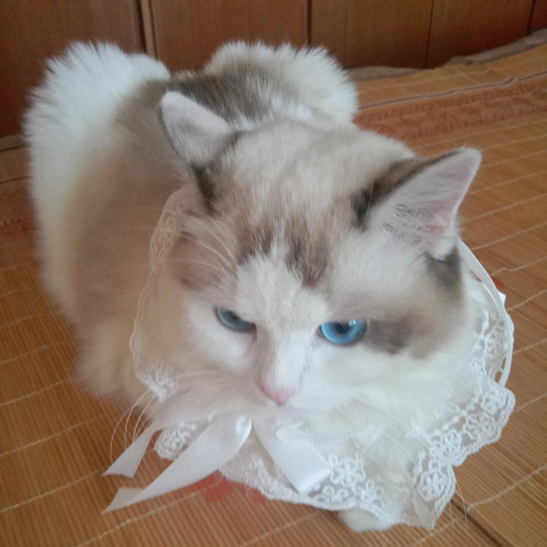 天路