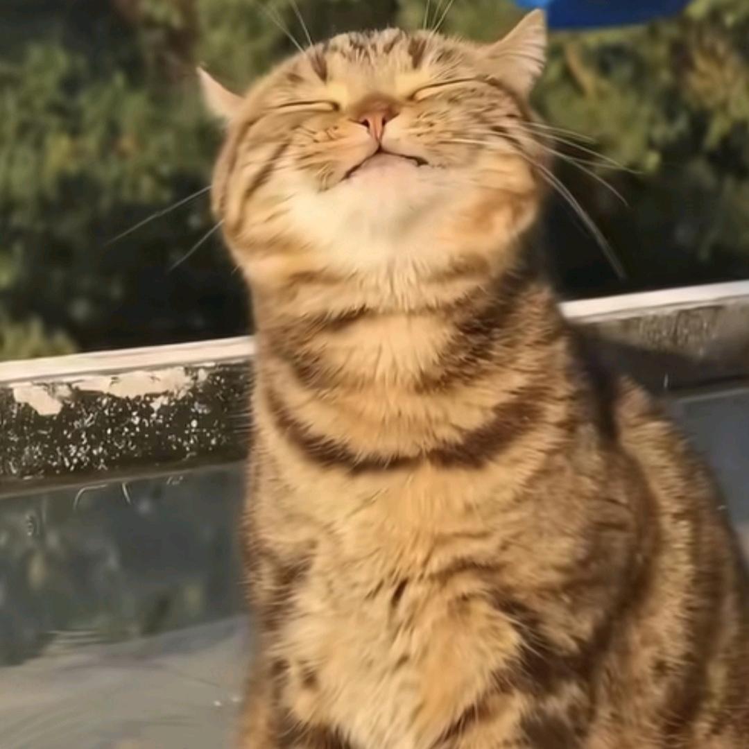 🌈跳起来有1米8