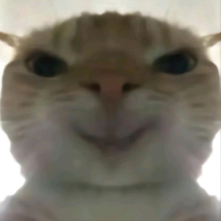 许可