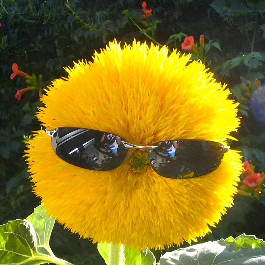 财神爷的小心肝