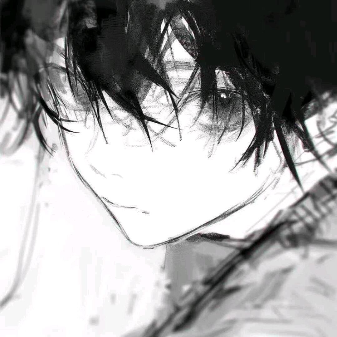 缘止译数码（万粉送手机）