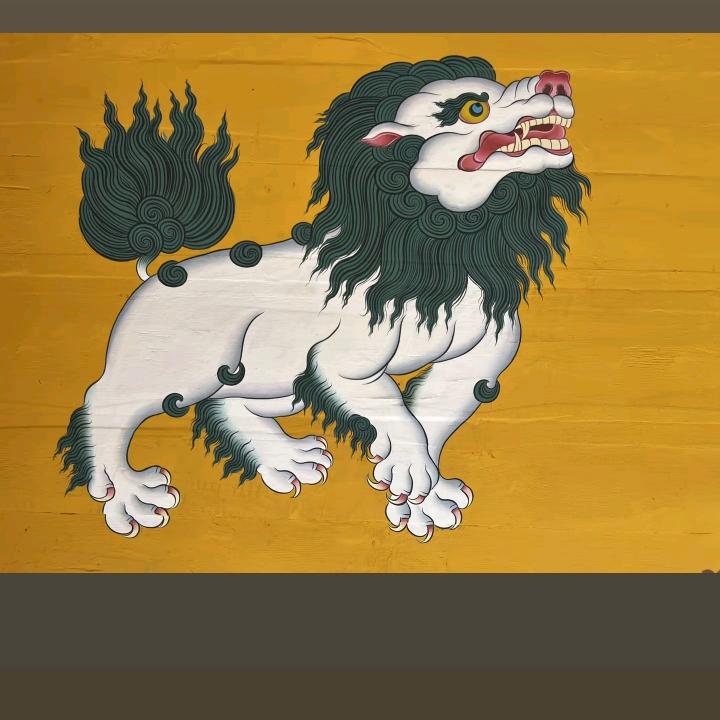 👉可怜的我们👈