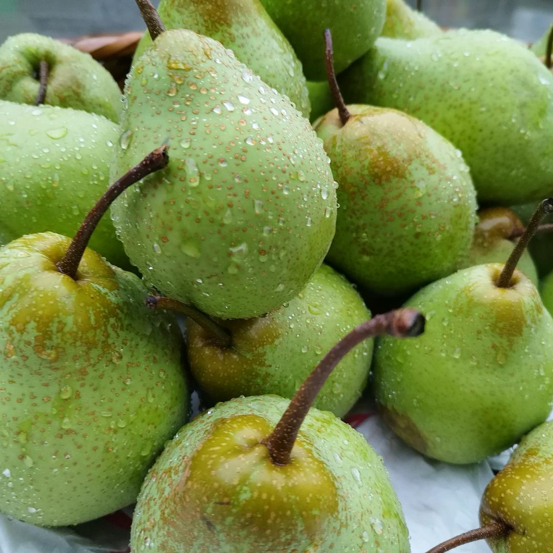 坚持到底，农人阳哥