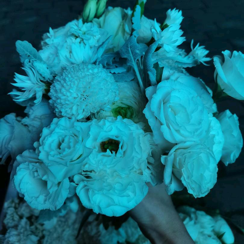 一级建造师咨询