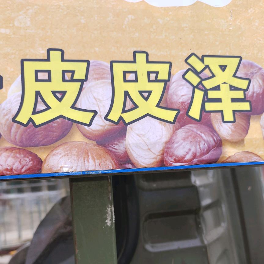 皮皮泽