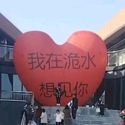 消失的他