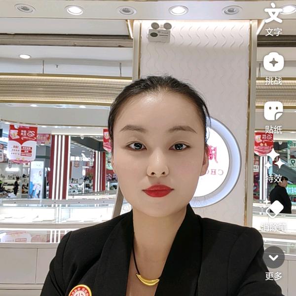 偃师中成高书韵