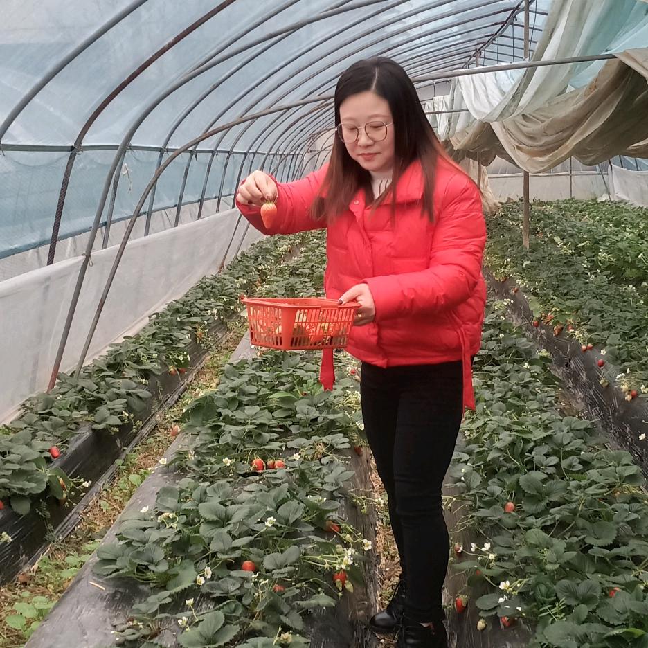 时间去那里了？