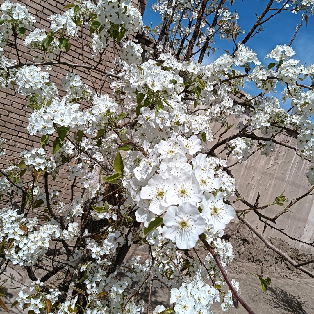 身体健康最重要