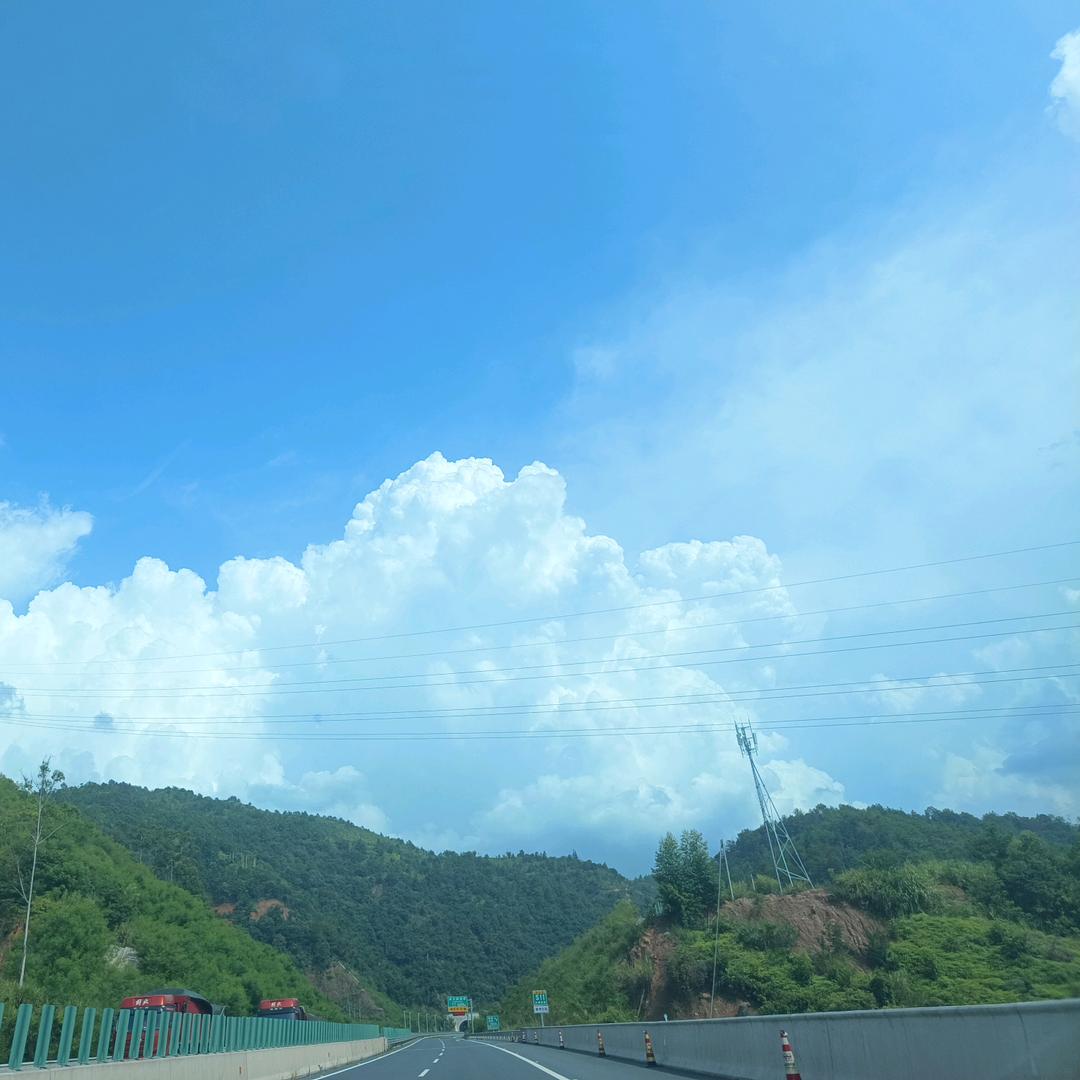 草木深