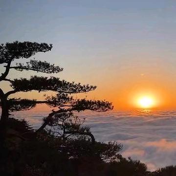 现实残酷、童话完美