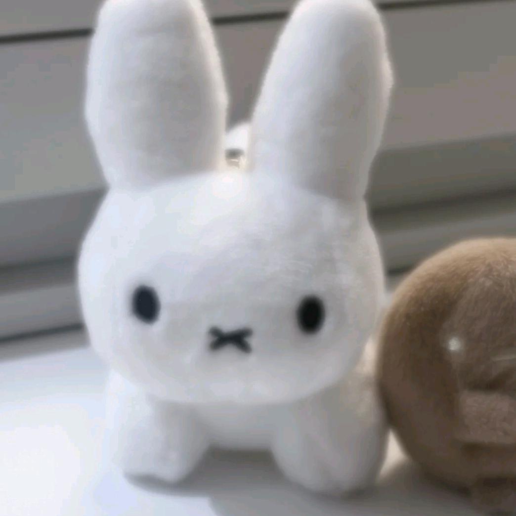 现实就爱嗦点珠咪