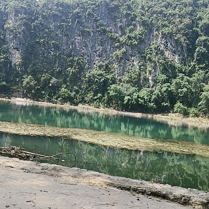 美好的未来