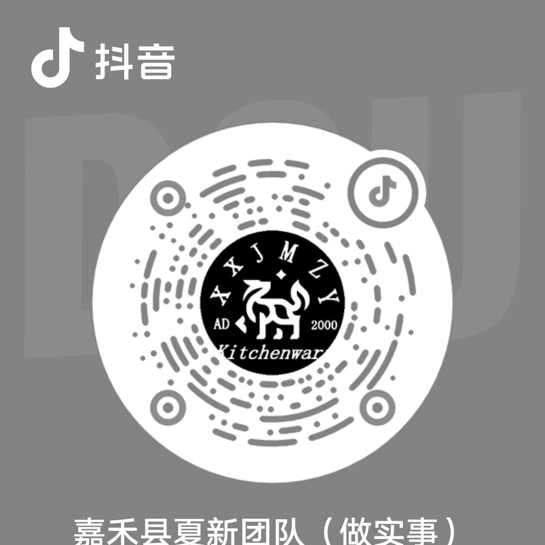 嘉禾夏新公司