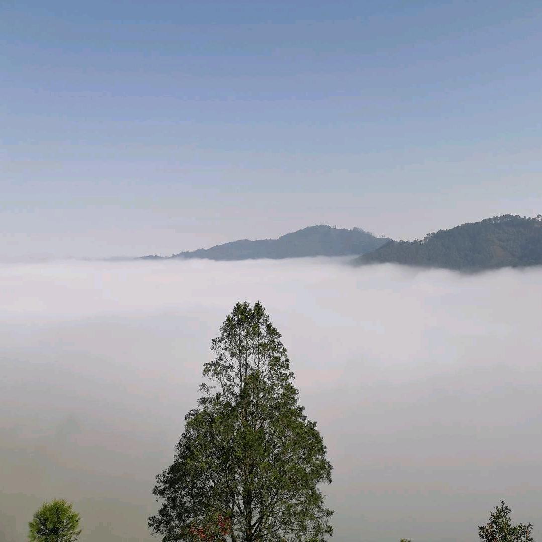 一定要瘦到125斤（减肥中）