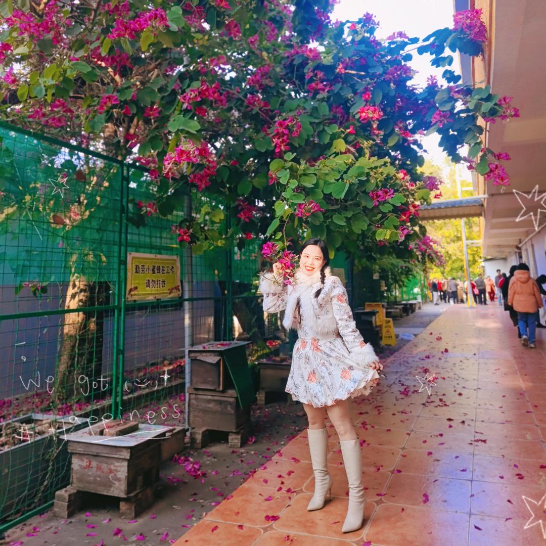 💃蓉姐姐💃