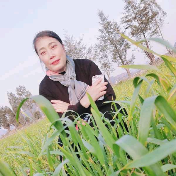 gaoYln