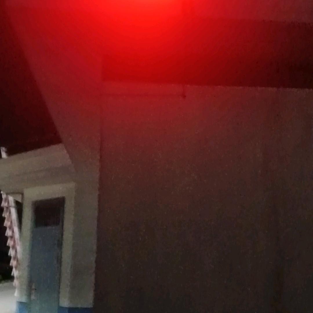 在梵净山采风的梅花鹿