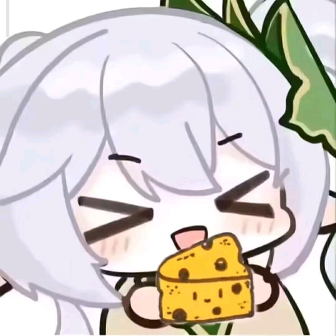 哈基芝
