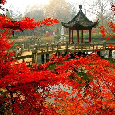 紅塵