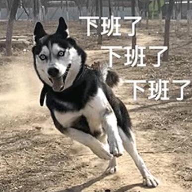 神评君