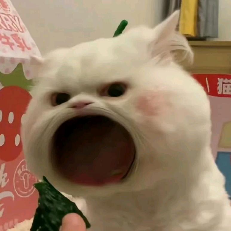 睡不醒😪