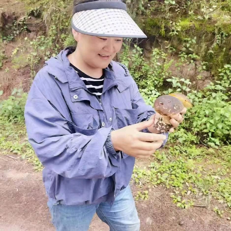 田新（首播筹备中）