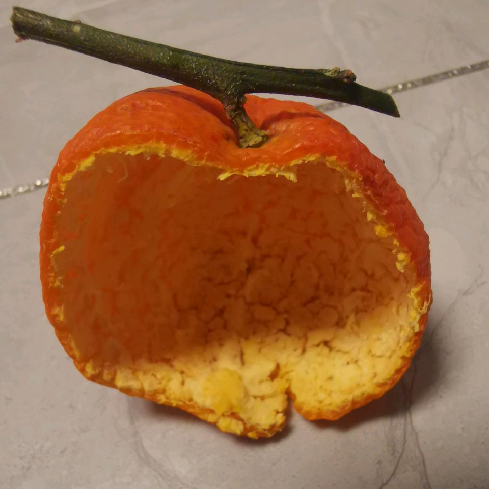 肉肉(涨粉必回)