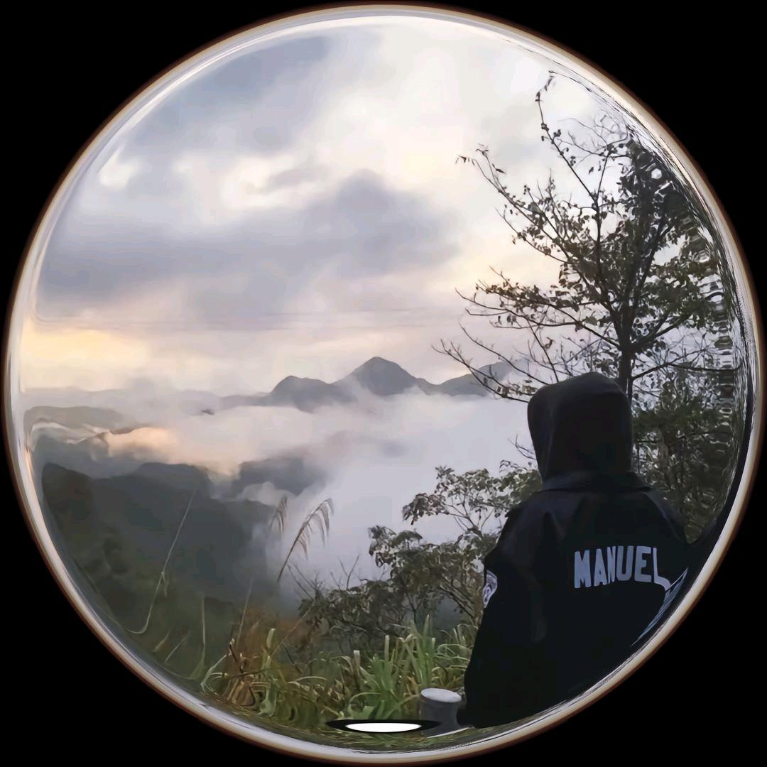 染指