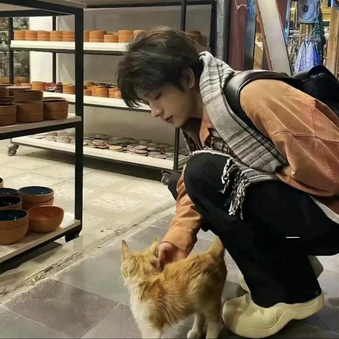 听不懂思密达