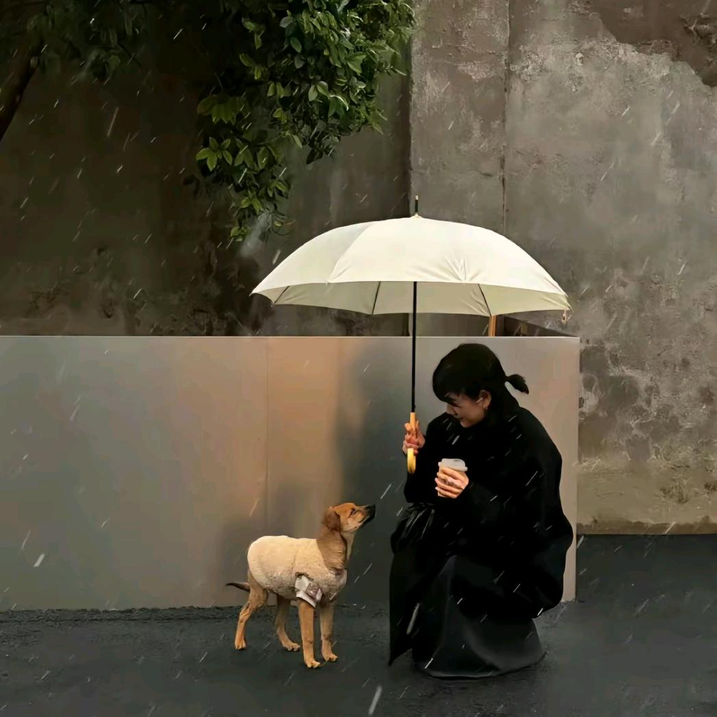 武彤彤彤 𖠚ᐝ