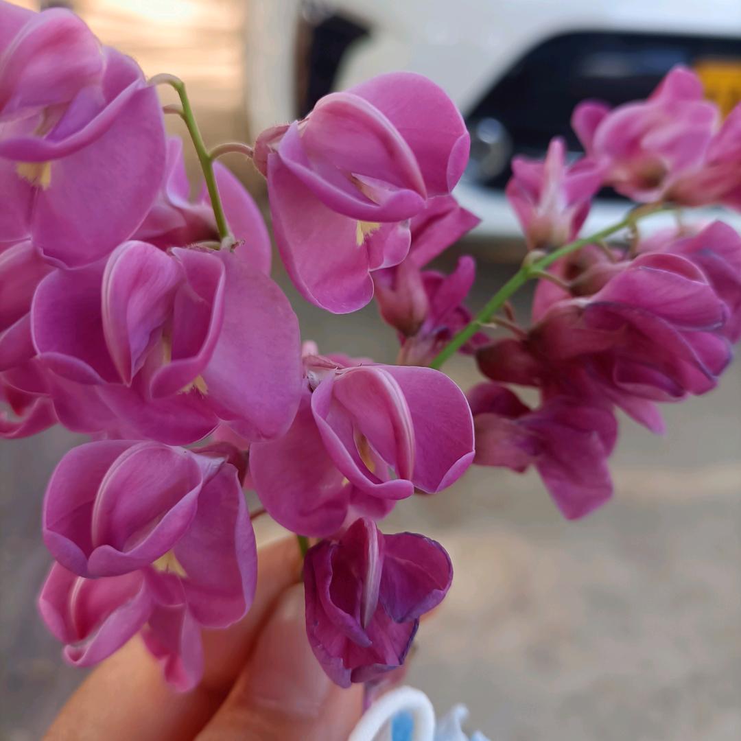 忘掉过去重新开始