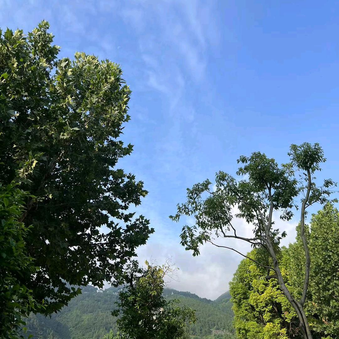 壹玖捌陆